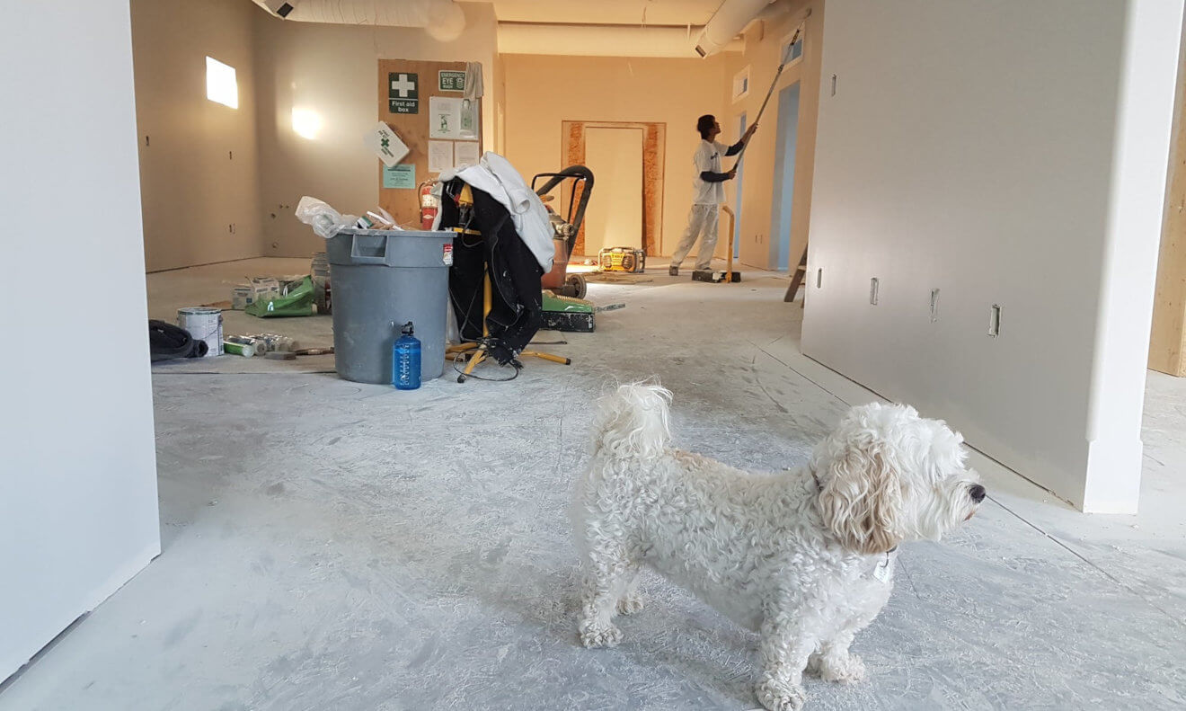 House Renovation